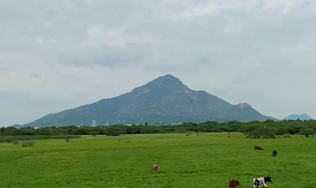 Arunachala hill view from tiruvannamalai to pondicherry route