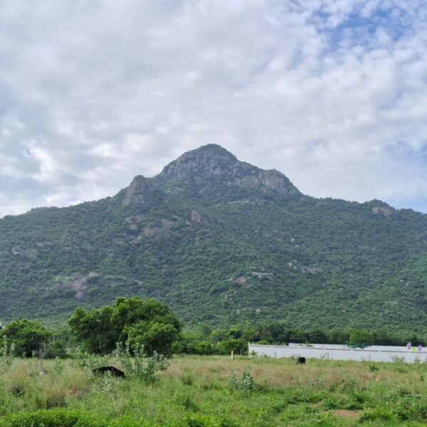 Tiruvannamalai Hill View